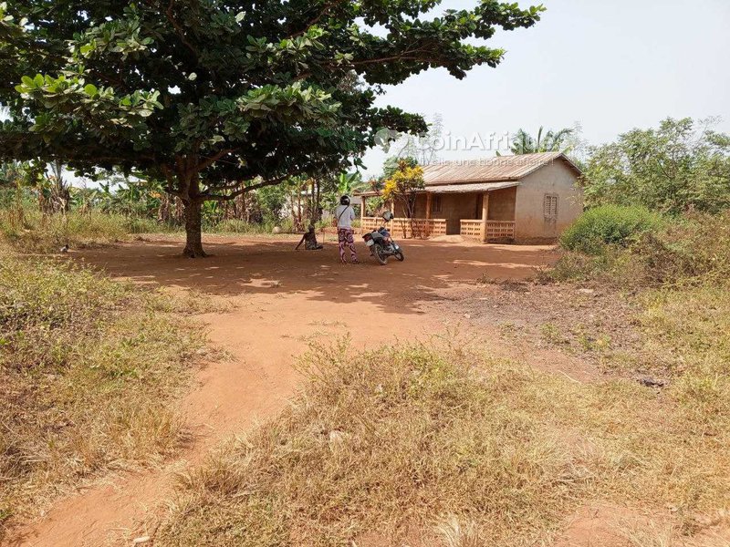 Terrain 9000 m²