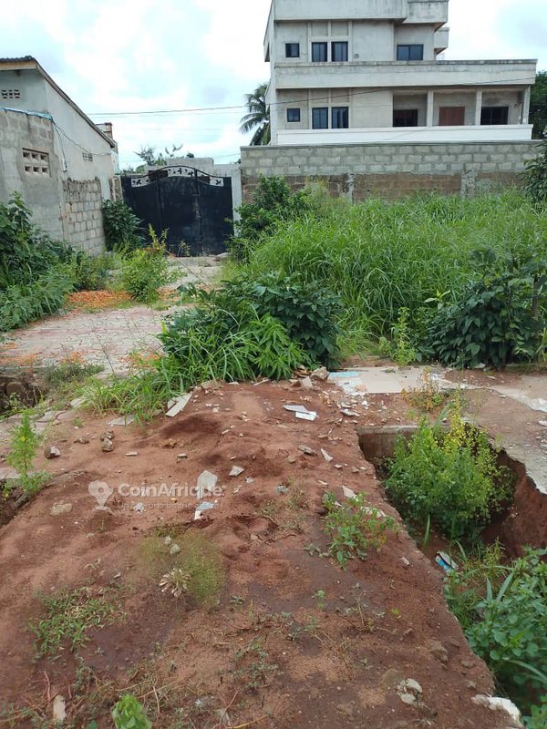 Terrain 297 m²