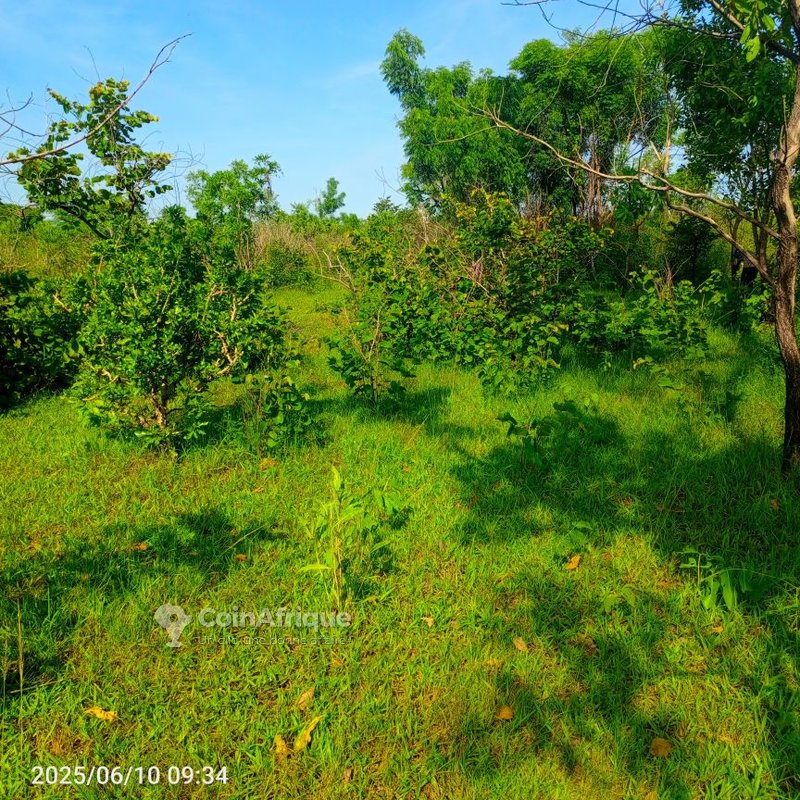 Terrain agricole 20 ha