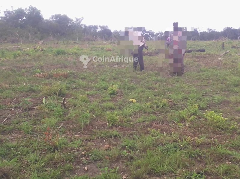 Terrain agricole 400 m²