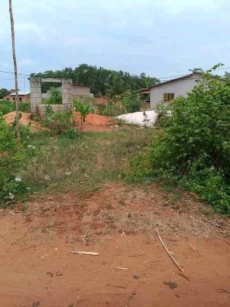 Parcelles de 500m² Habitables avec Titre Foncier