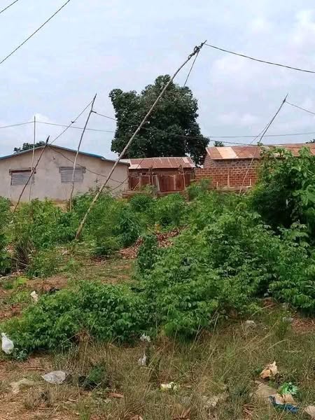 Parcelles de 500m² Habitables avec Titre Foncier