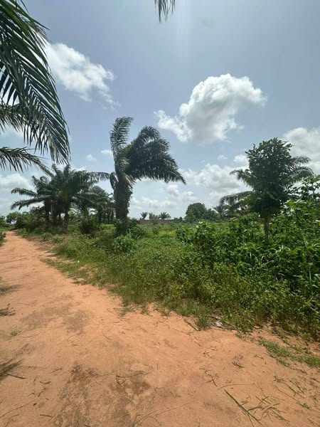 Grand Domaine Morcelé Avec Titre Foncier Global