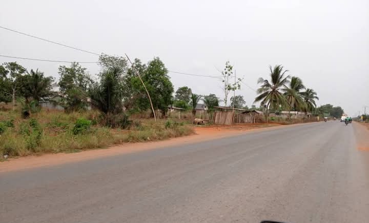 Parcelles de 350 m², domaine Titre foncier