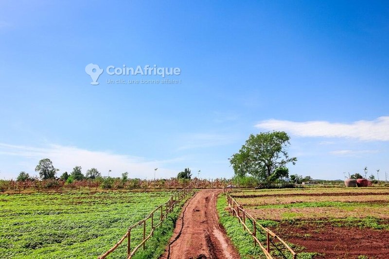 Terrain agricole 10000 m²
