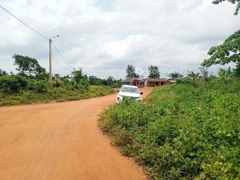 Terrain 5 ha