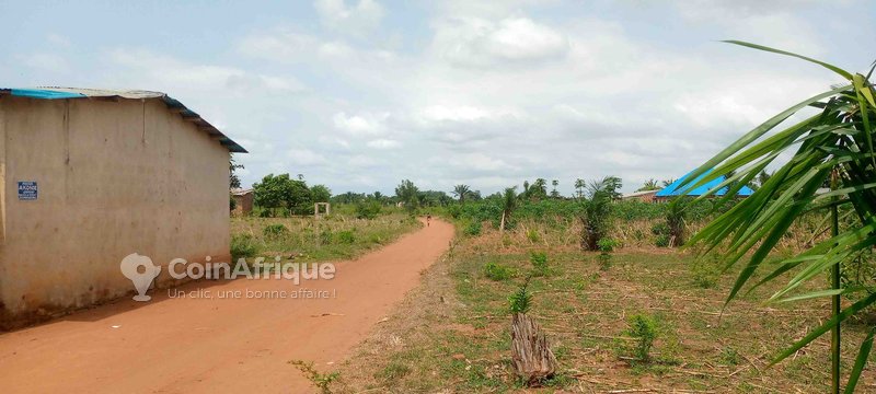 Terrains agricoles 8H