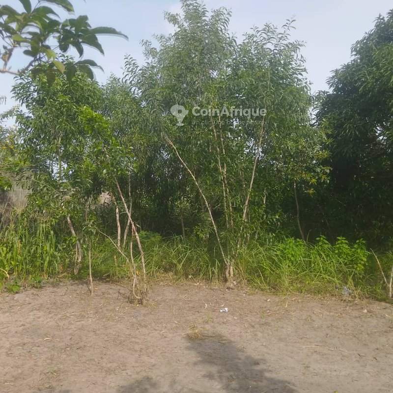 Terrains 432 m²