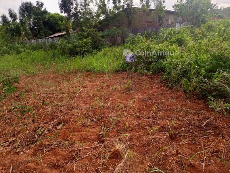 Terrain 950 m²
