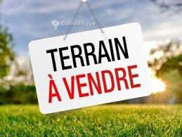 Terrain