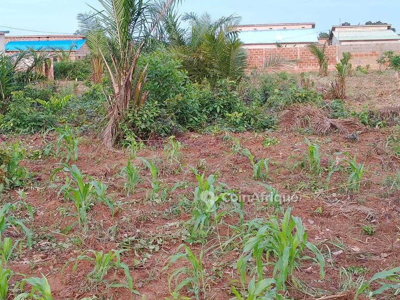 Terrain 500 m²