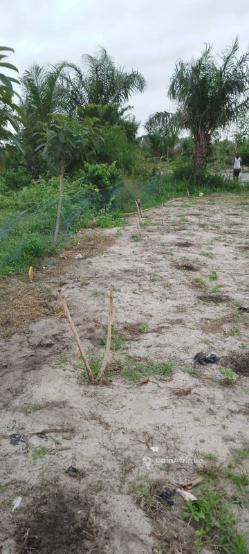 Terrain 400 m²