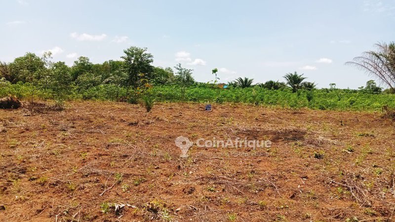 Terrain agricole