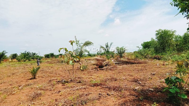 Terrain agricole