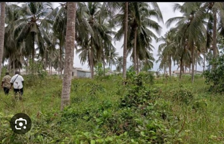 Terrain