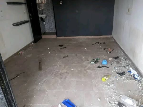 Boutique Sanitaire avec Terrasse