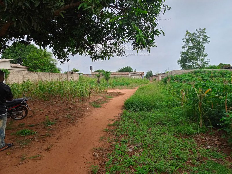 Terrain 500 m²