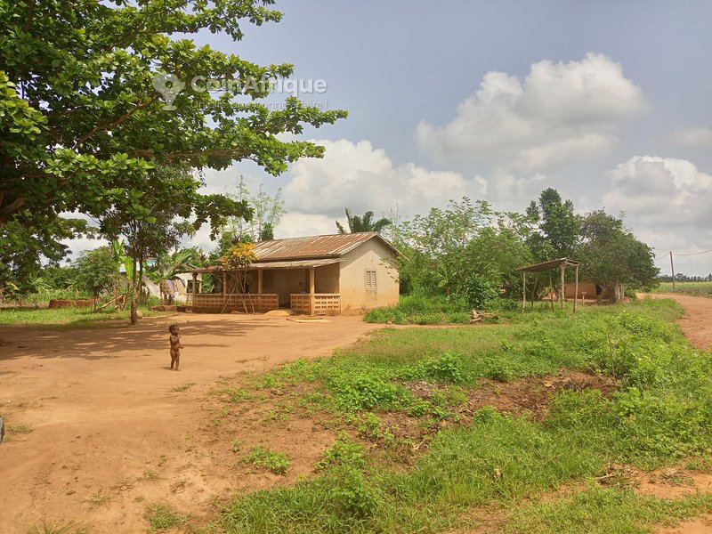 Terrain 400 m²