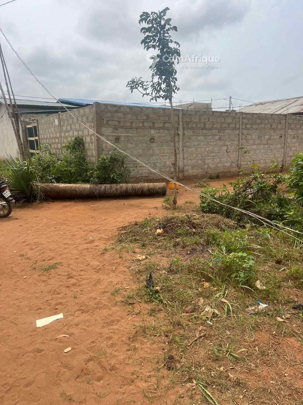 Terrain 169 m²