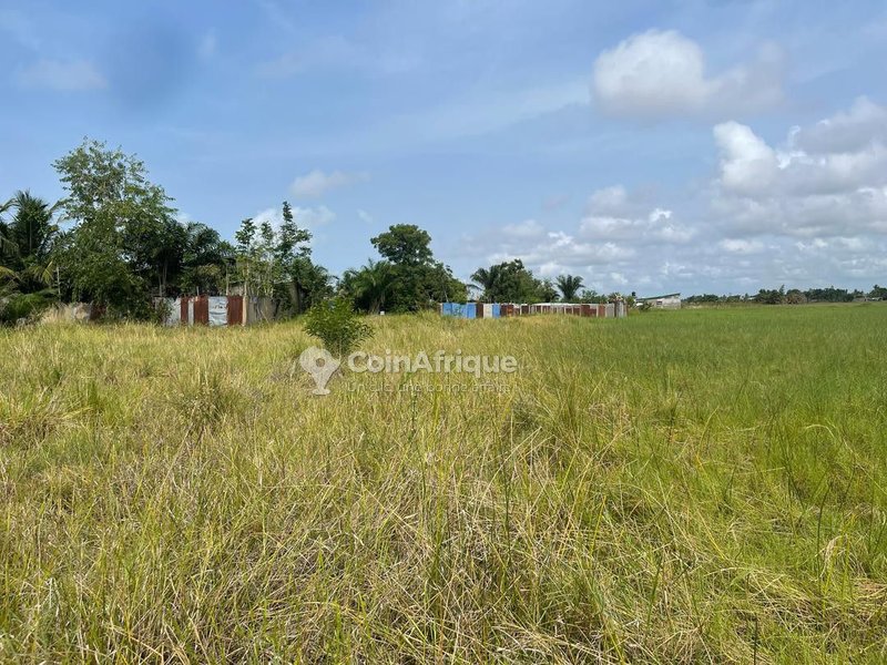 Parcelles