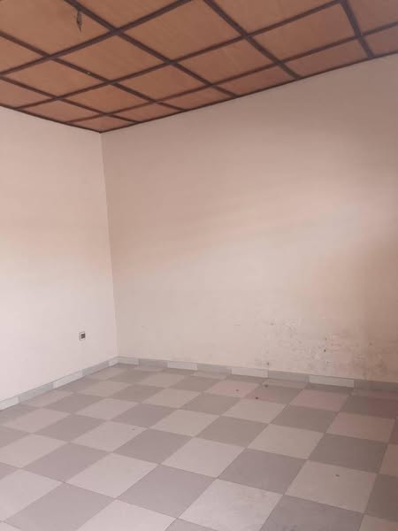 Chambre salon à louer