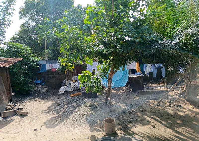 Terrain 321 m²