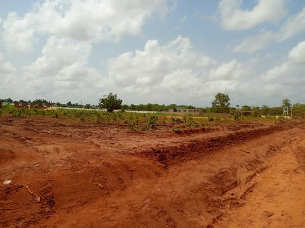 Terrain 320 m² en vente