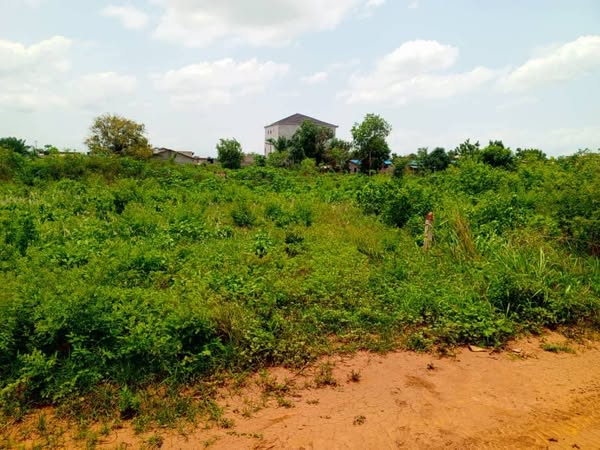 Parcelles avec titre foncier à vendre