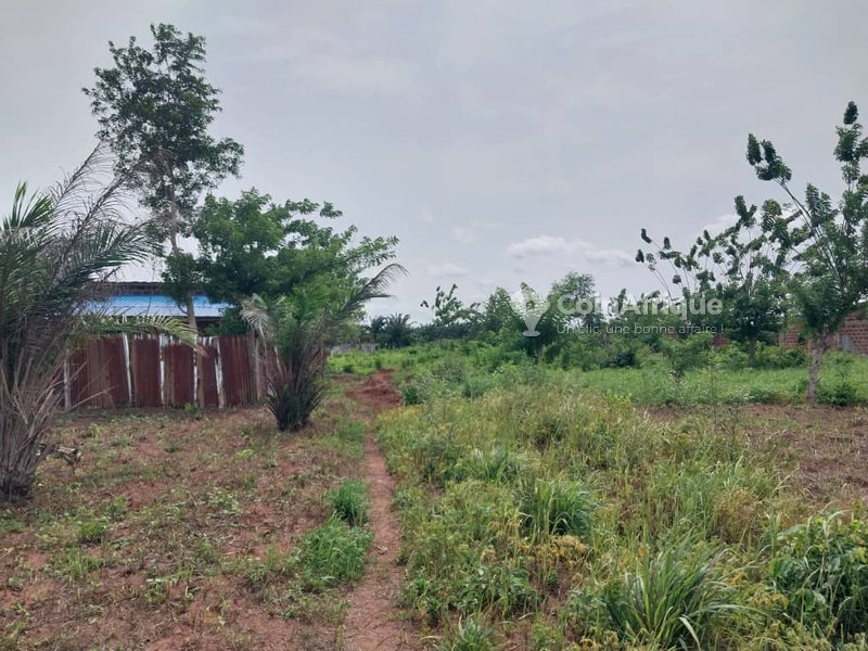 Terrain 381m²