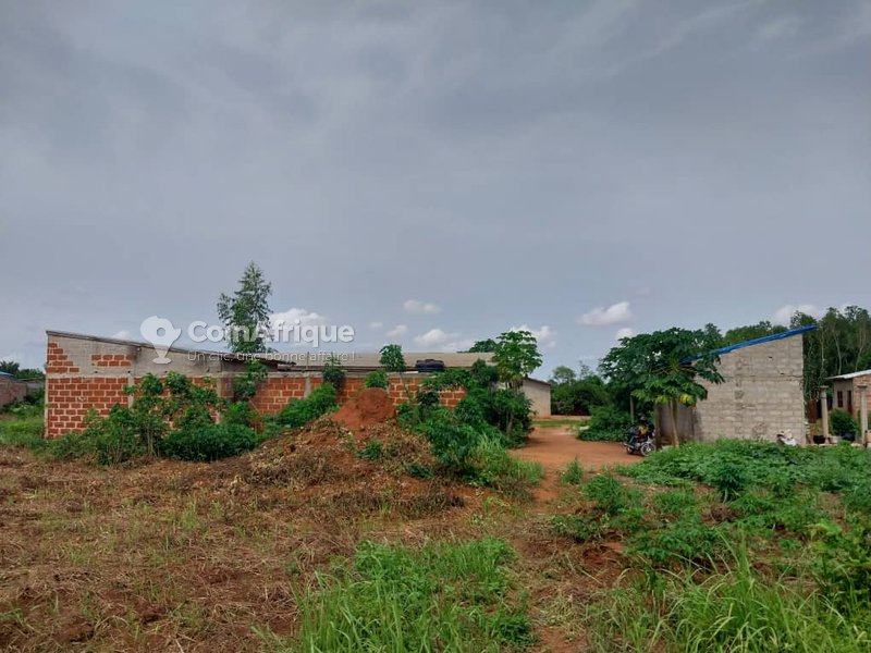 Terrain 381m²