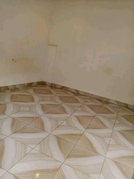 Superbe Entrée Couchée Sanitaire Bien Vaste
