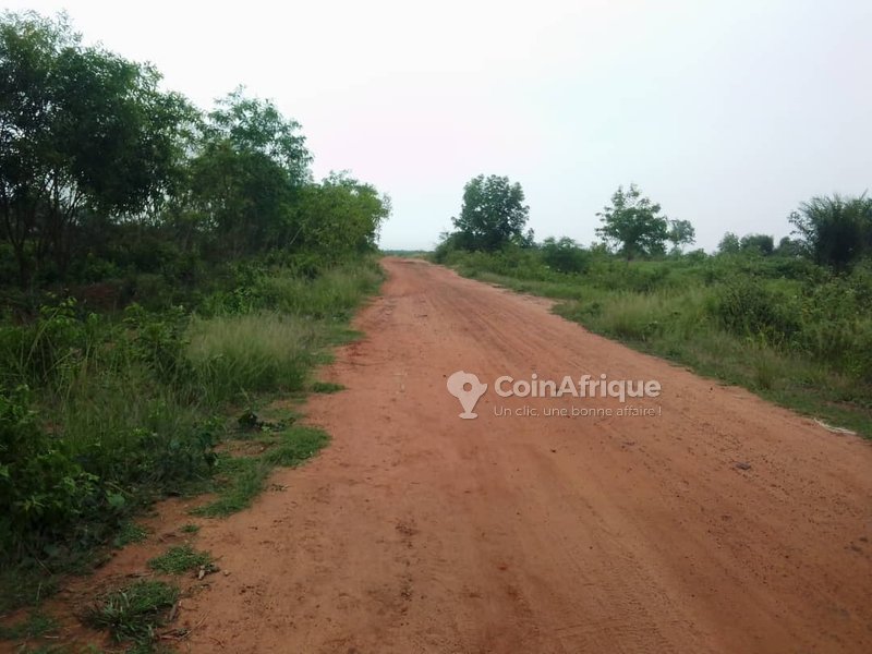 Terrain 500 m²