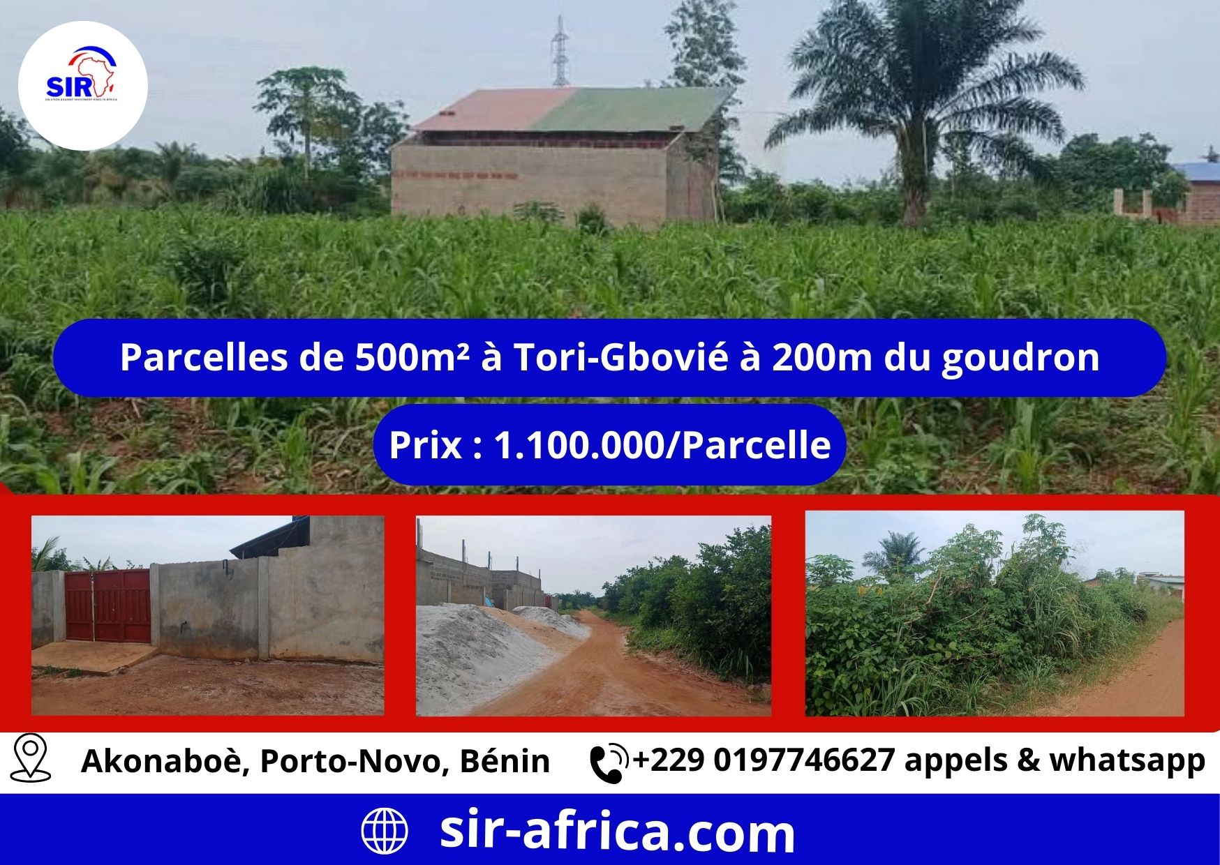 PARCELLE A TORI-BOSSITO