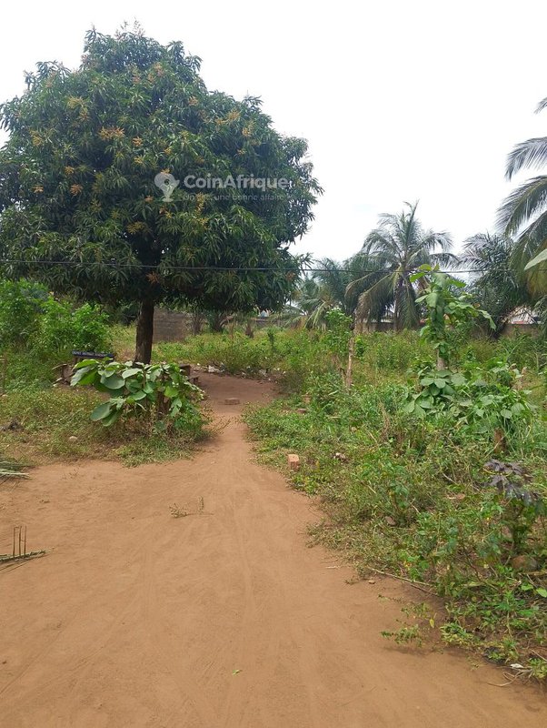 Terrain 350 m²