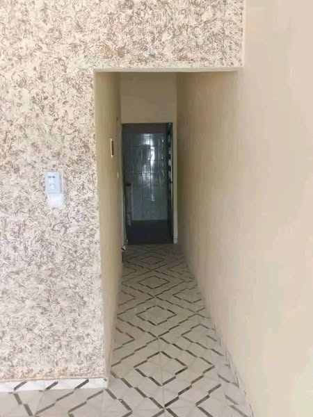 Chambre Salon Sanitaire Staffé Peinturé