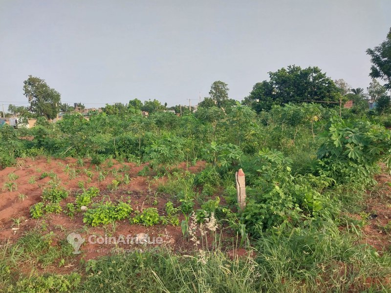 Terrain 2000 m²