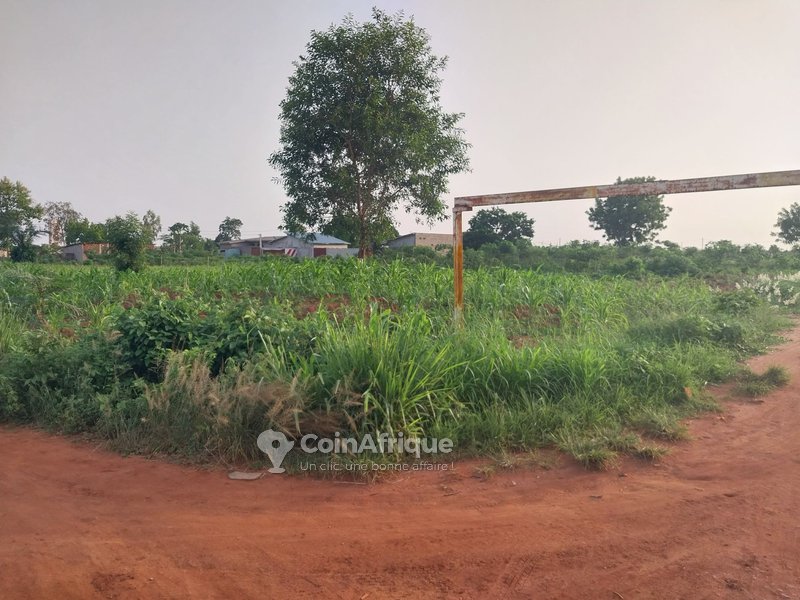 Terrain 2000 m²
