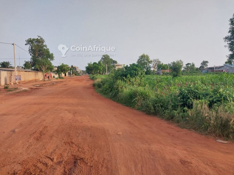 Terrain 2000 m²