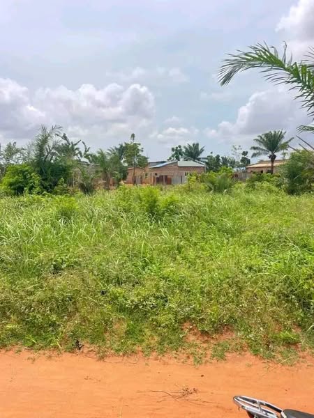 Parcelles avec Titre Foncier à Vendre