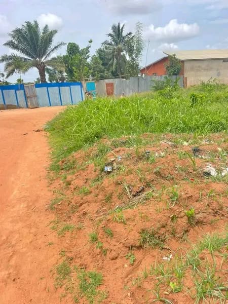 Parcelles avec Titre Foncier à Vendre
