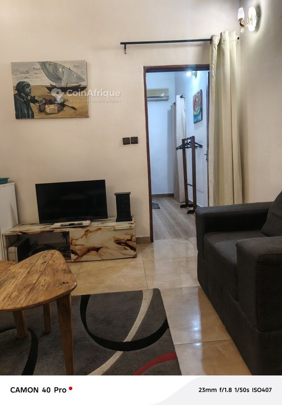 Location appartement meublé