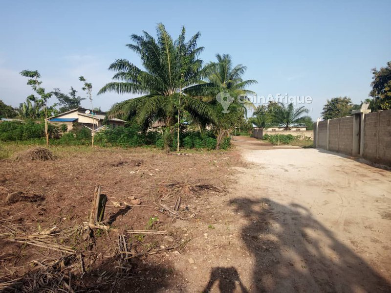 Terrain 5 ha