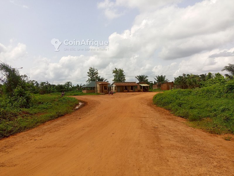 Terrain 4500 m²