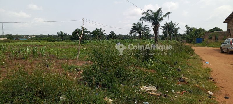 Terrain agricole de 5 ha