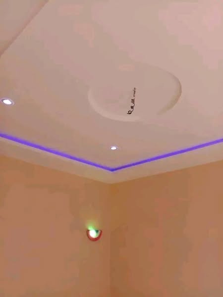 Chambre Salon Sanitaire Staffé Peinturé