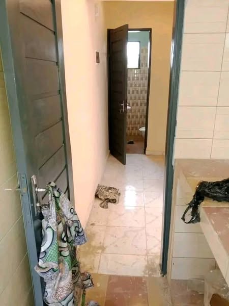 Chambre Salon Sanitaire Staffé Peinturé