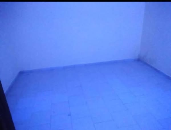 Appartement Récent 1 Chambre Salon Sanitaire