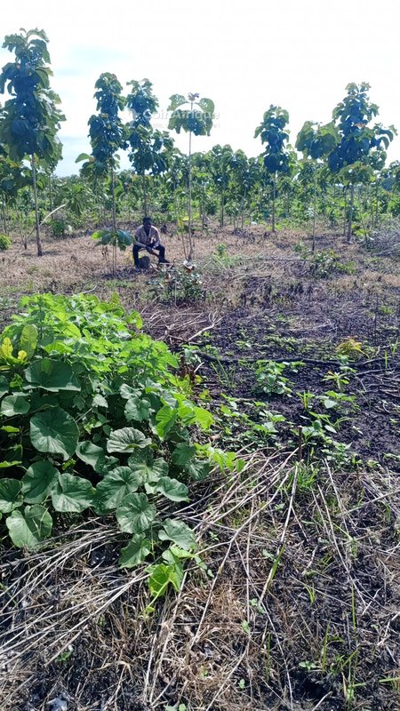 Domaine agricole