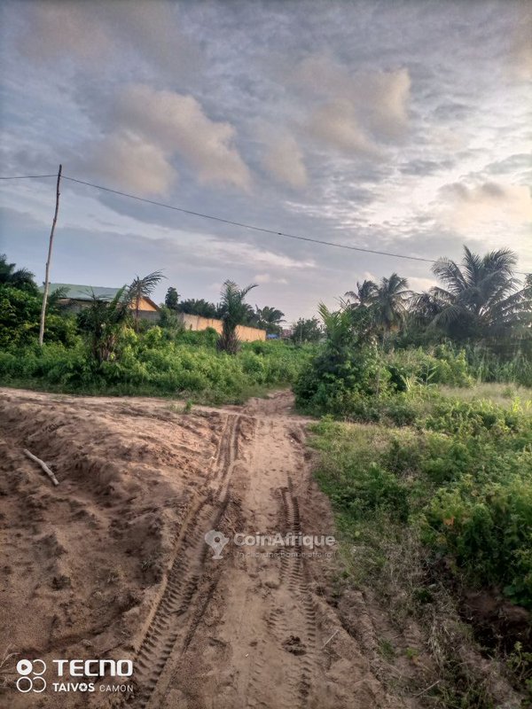 Terrain