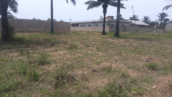 Parcelle de 310 m² Recasée Disponible